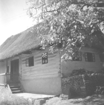 eika image